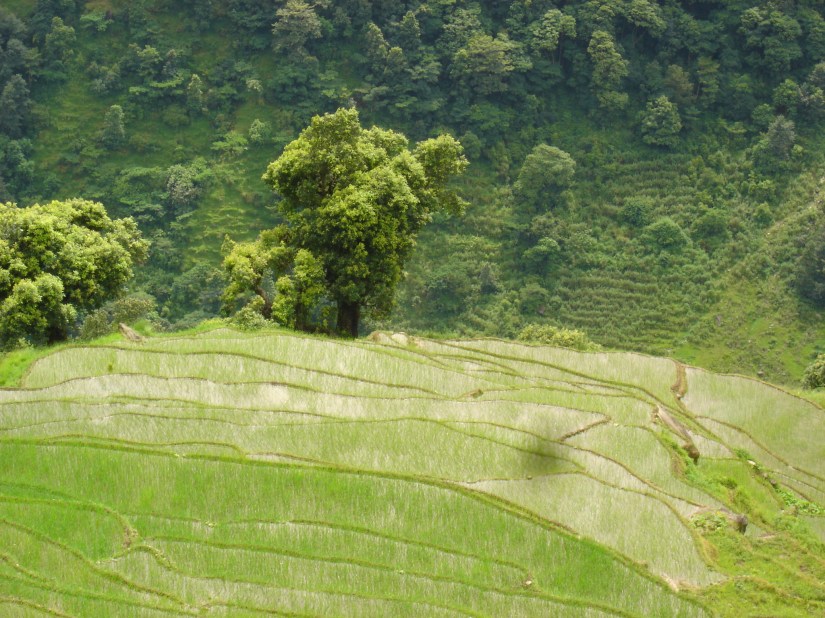 Tangting Trip july 2007 017